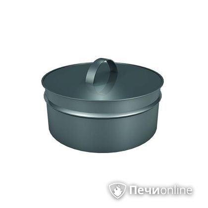 Заглушки Теплов и Сухов Заглушка ревизии Термо-Р 304 0.5 D220(120) в Миассе
