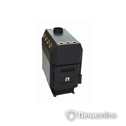 Отопительная печь Конвектика Ставр 200 (дрова + уголь) в Миассе